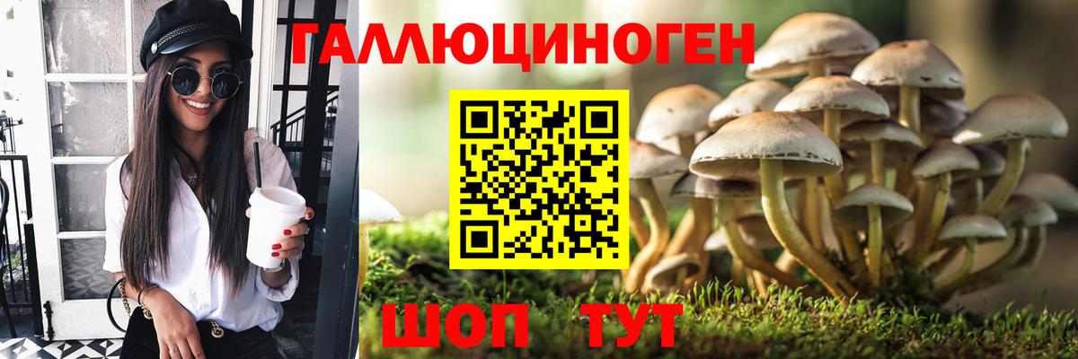 Азов  Галлюциногенные грибы прущие грибы  как найти закладки  Вход с VPN 